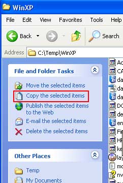 Copy selected items